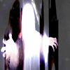 tranch_project.evo