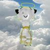 angelrbx30