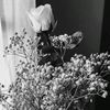 notmaystel_6