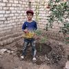 abdallah.mohammed693