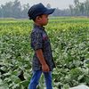 jiyad946630551