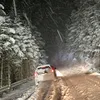 subastolis