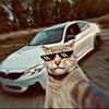 funny videos 😂