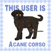 kijun_.that_lab.c0rso