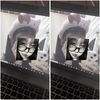 s.ze_4