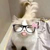 fitri_give