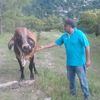 jorge.flores8619