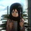 mikasa13654