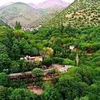 danar.danar59