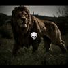 onur.simsek55