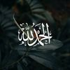 user5595278698245