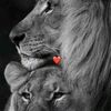 _meherremovaa_09