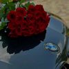star_d82