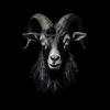 baphomet918