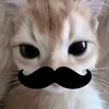 strawberryjamlover18