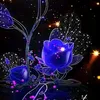 user49206661212038