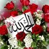 user3350774000844