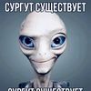 smiva_228