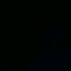 shirin7669