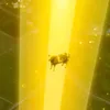 hi4014808