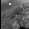 jxst_mia06