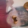 ana.beln5337