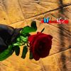 bika_056