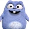 xomaqp
