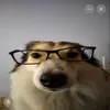 teamninox