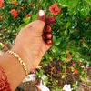 salma.khatun8820
