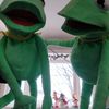 kermit_thefrog_thetwins