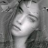 hopa_276