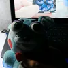 mrlama216
