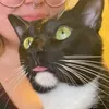shrimpo_angry2ofc