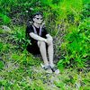 amoss874