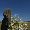 ammi3668