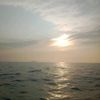 sara_ff119