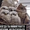 amir013_95
