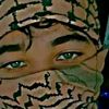 wled_saida_20
