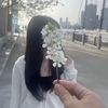 glxsyy.ari2