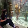 itssophialucia