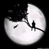 amadou.barro21