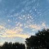 big_tiana36