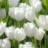 coayme.nhay