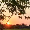 aura_lia10123