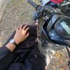 dindamedia1