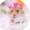 itslexi_25