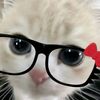 user2148145951617