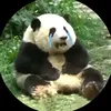 xonlam_