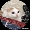 hi.sigma00